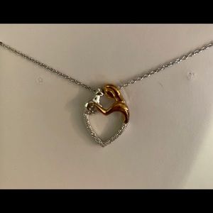 ⬇️PRICE REDUCTION! ASPCA Necklace